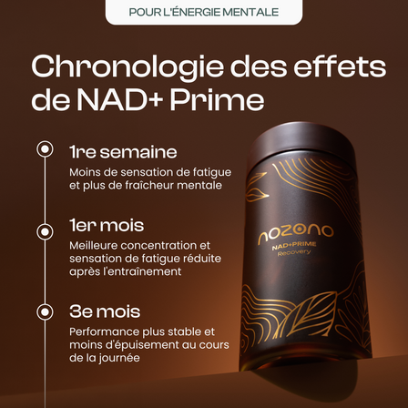 NAD+ Prime