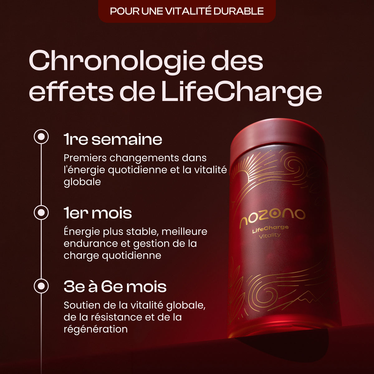 LifeCharge