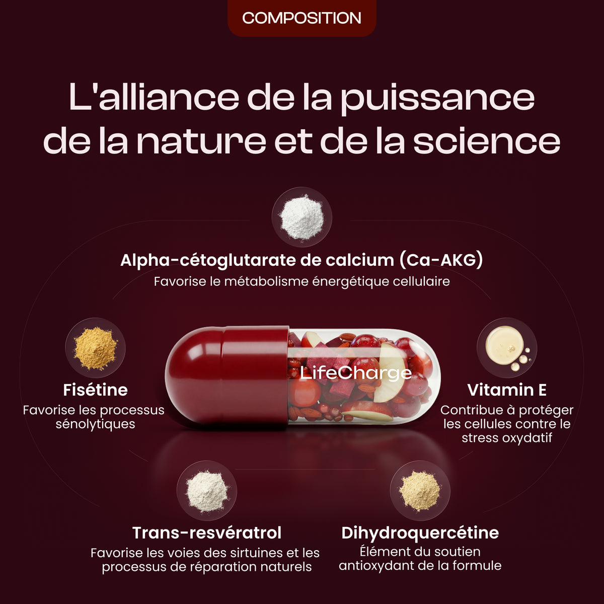 LifeCharge