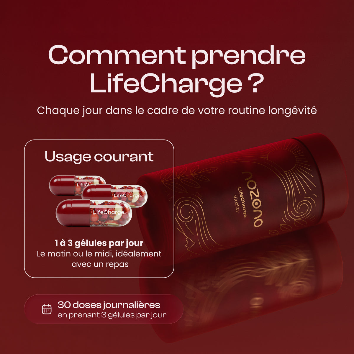 LifeCharge