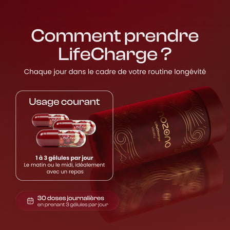 LifeCharge