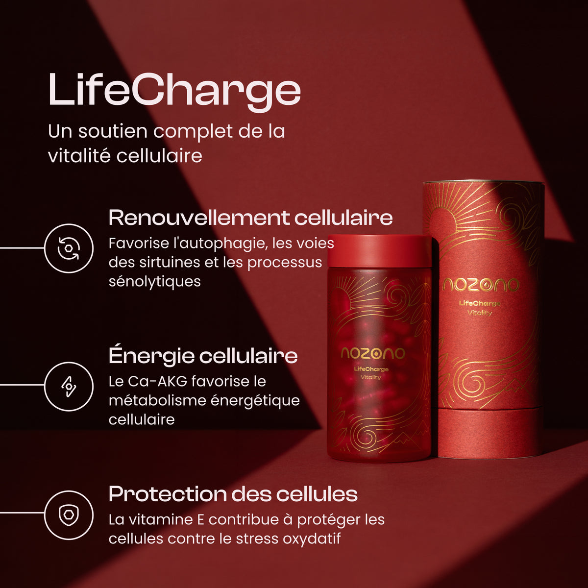 LifeCharge