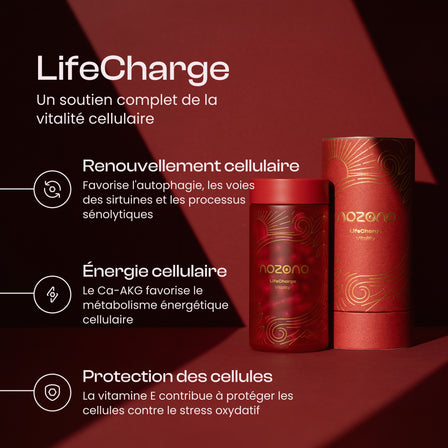 LifeCharge