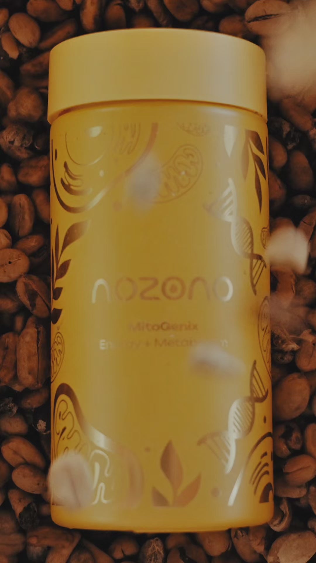 Charger la vidéo: 